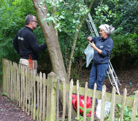 Kew take cuttings